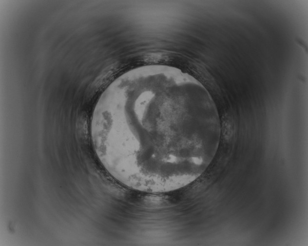 X0000100470375200807031834