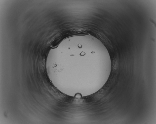 X0000100470376200807031834