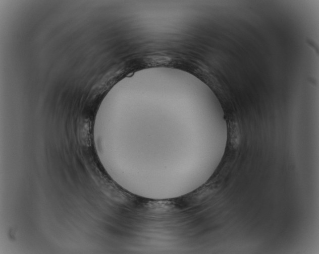 X0000100470378200807031834