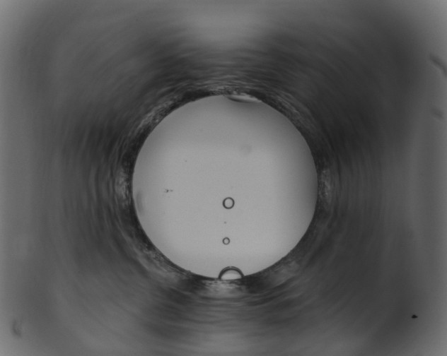 X0000100470380200807031834