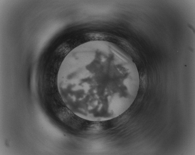 X0000100470381200807031834