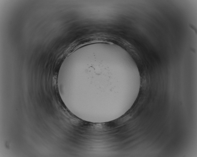 X0000100470382200807031834