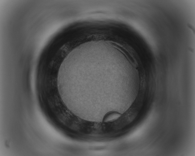 X0000100470383200807031834