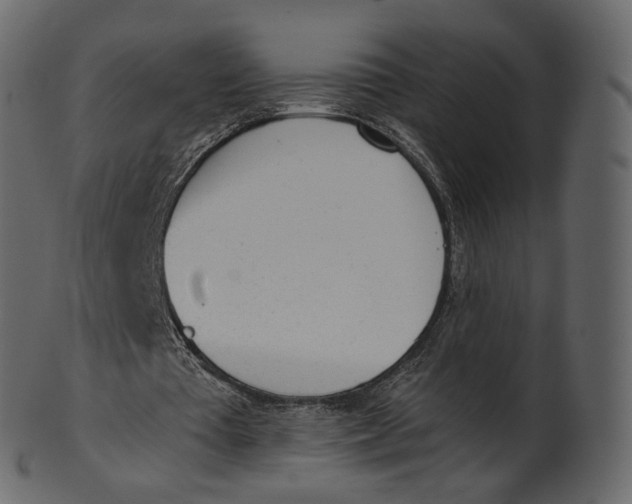 X0000100470385200807031833