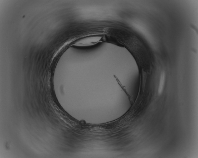 X0000100470387200807031833