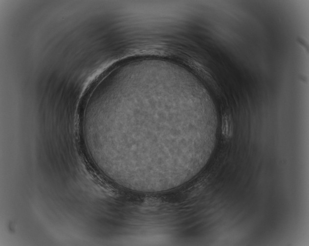 X0000100470388200807031833