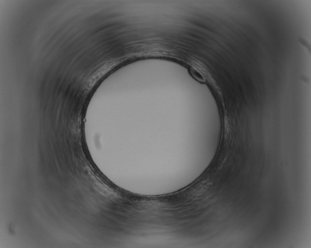 X0000100470389200807031833