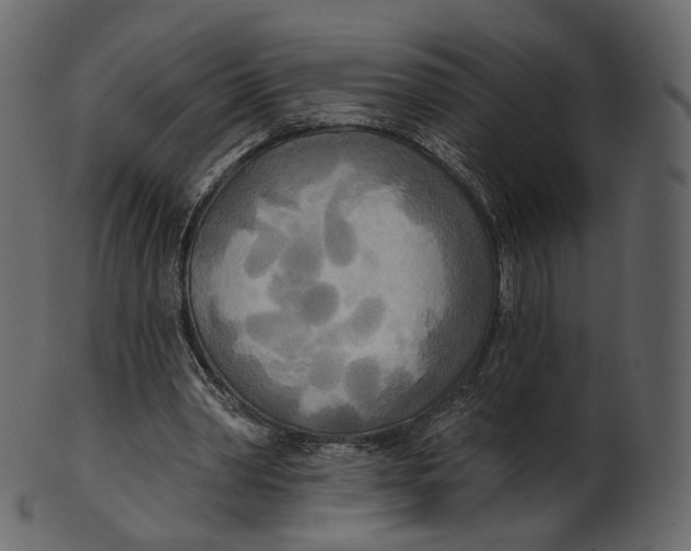 X0000100470390200807031833