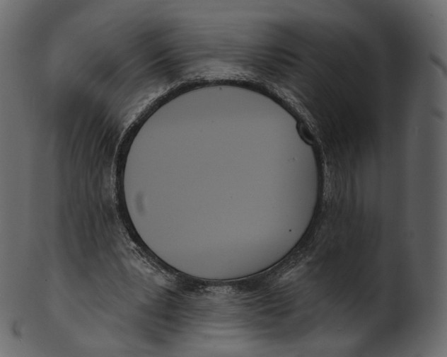 X0000100470391200807031833