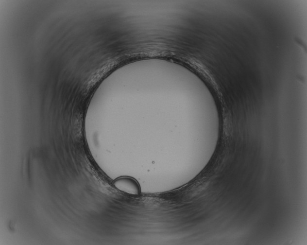 X0000100470393200807031833