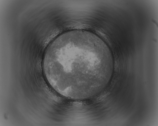 X0000100470394200807031833