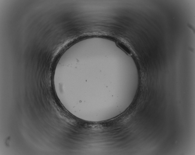 X0000100470395200807031833