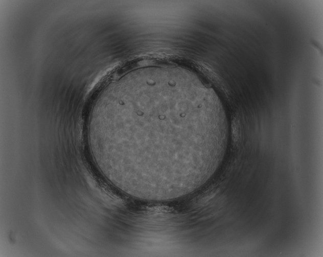 X0000100470396200807031833