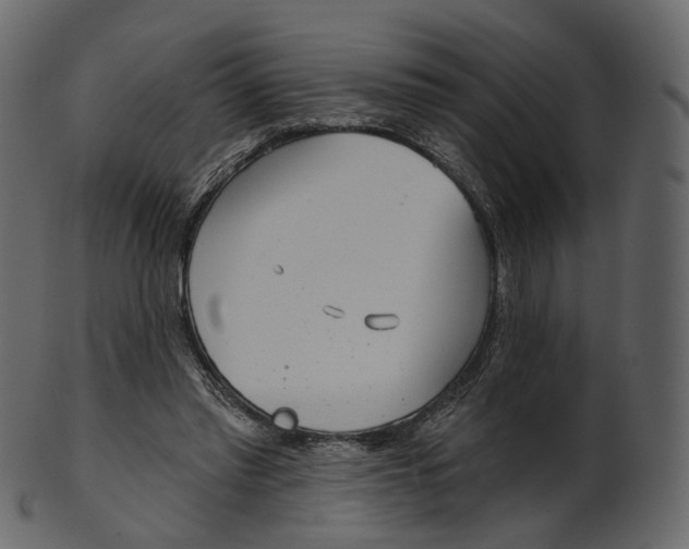 X0000100470397200807031833