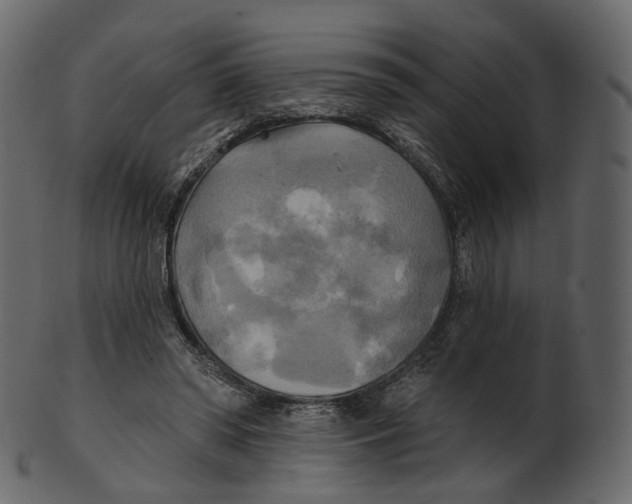 X0000100470398200807031833