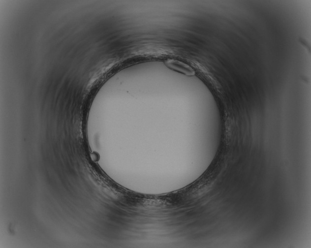 X0000100470399200807031833