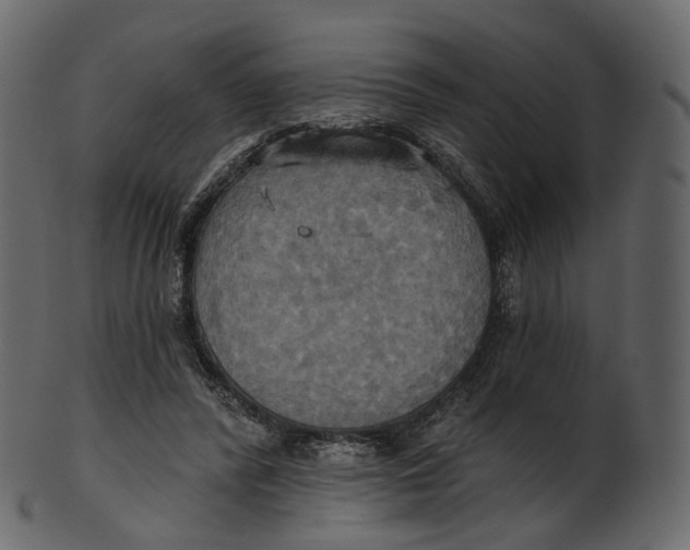 X0000100470400200807031833