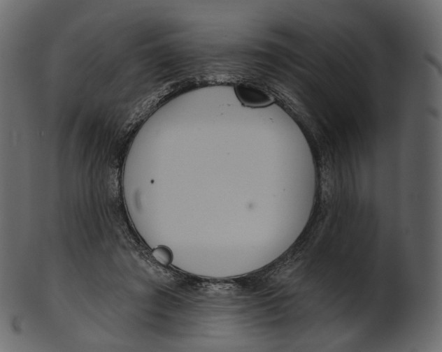 X0000100470401200807031833