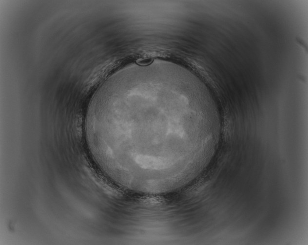 X0000100470402200807031833