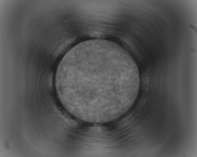 X0000100470404200807031833