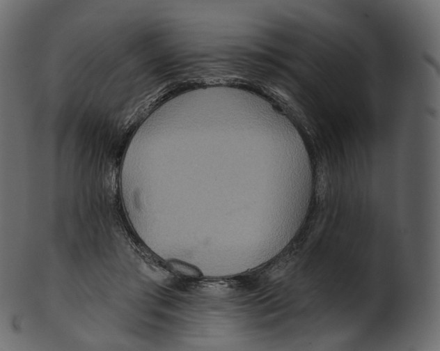 X0000100470405200807031833