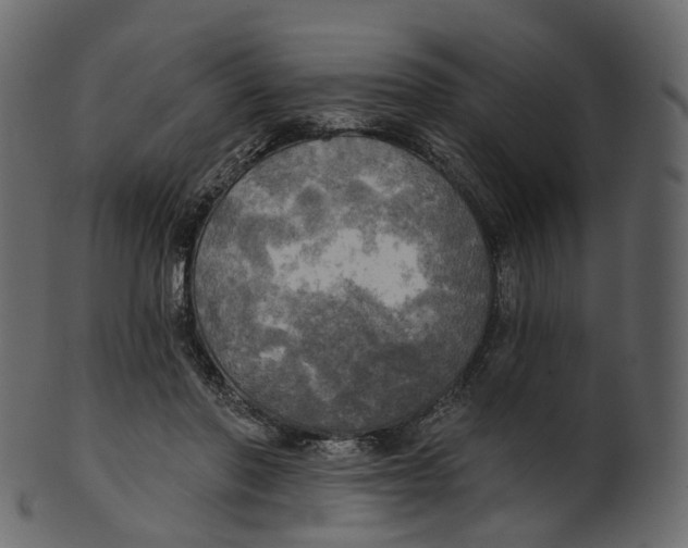 X0000100470406200807031833