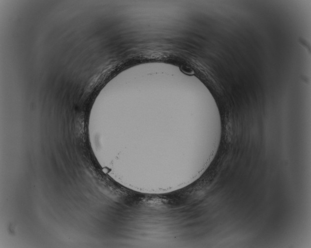 X0000100470407200807031833