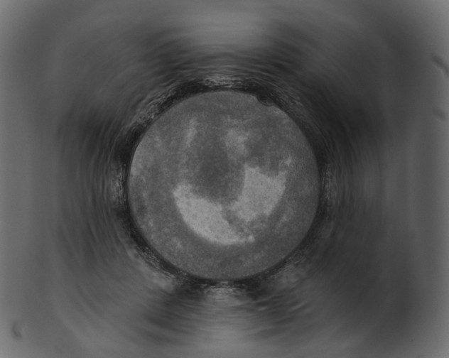 X0000100470408200807031833