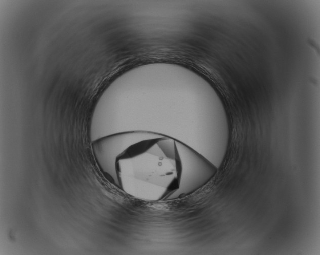 X0000100470409200807031833