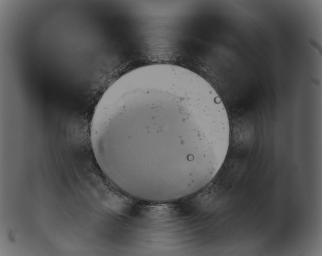 X0000100470411200807031833