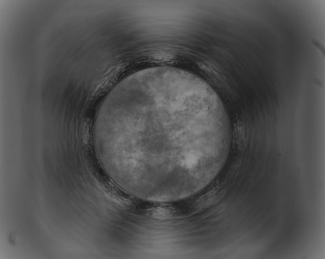 X0000100470412200807031832