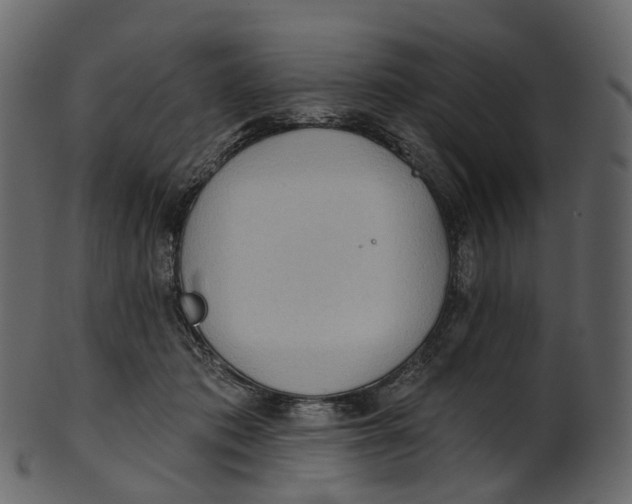 X0000100470413200807031832