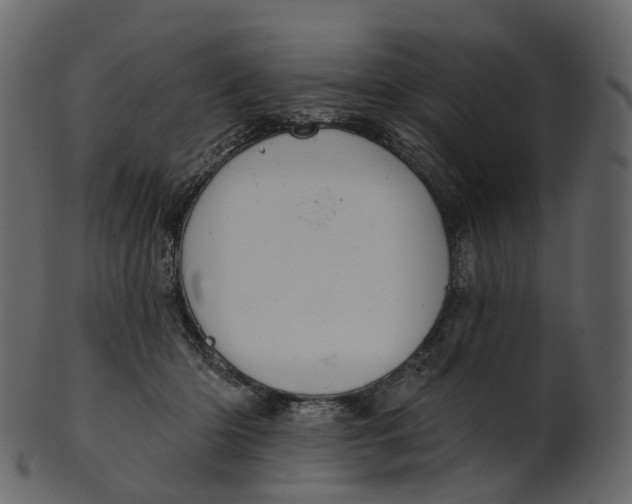 X0000100470414200807031832