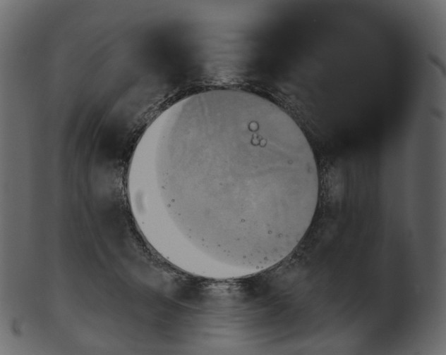 X0000100470415200807031832