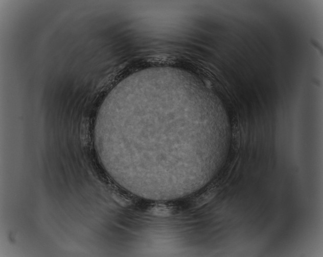 X0000100470416200807031832