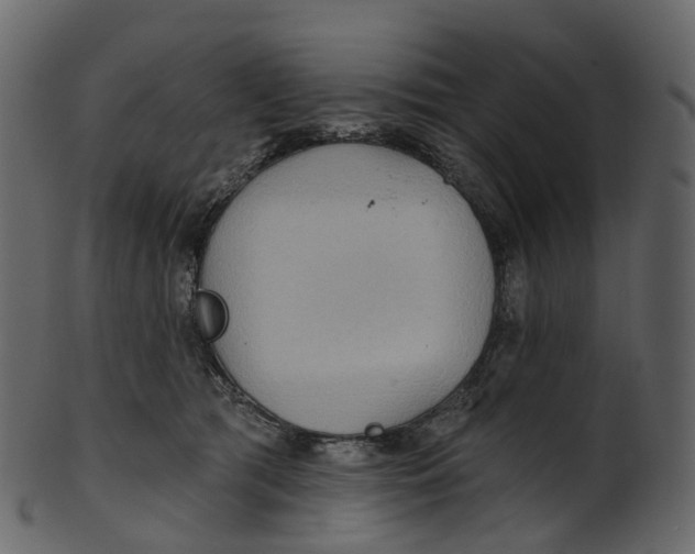 X0000100470417200807031832