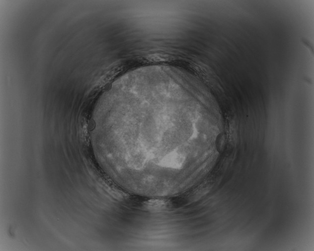 X0000100470418200807031832