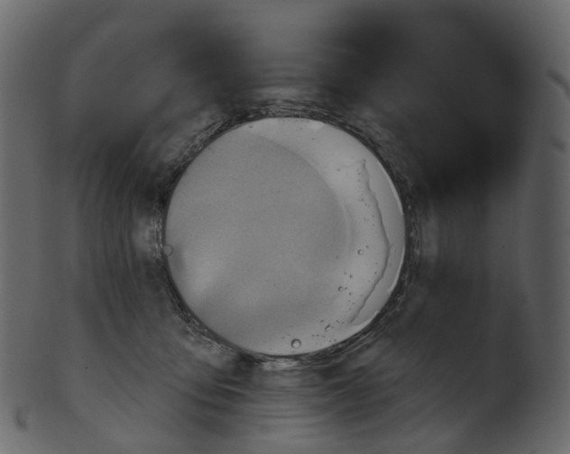 X0000100470419200807031832