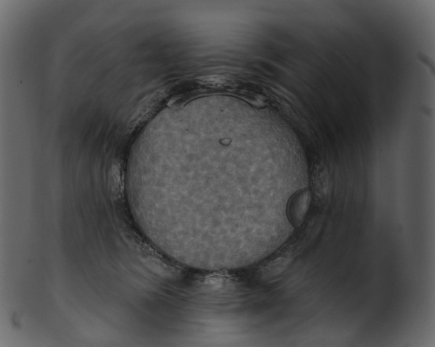 X0000100470420200807031832