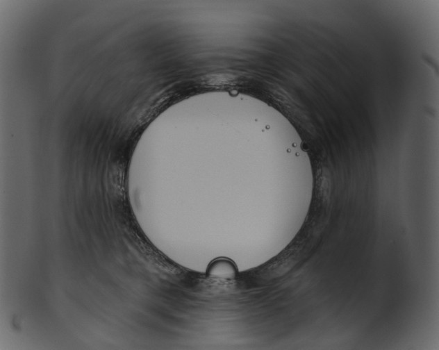 X0000100470421200807031832