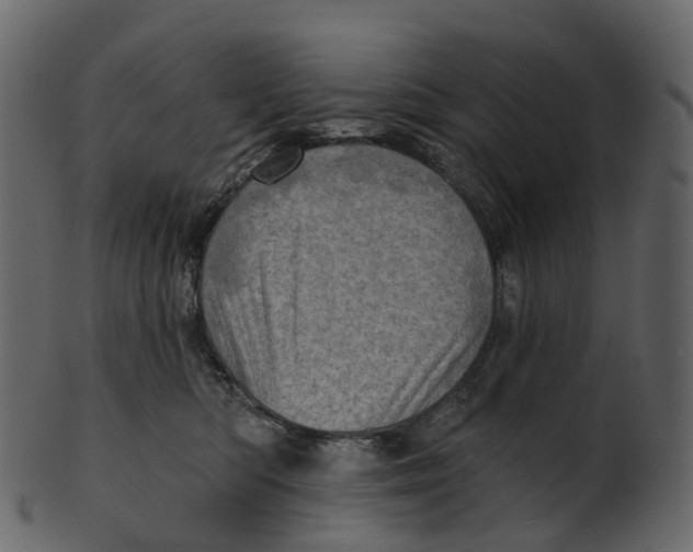 X0000100470422200807031832