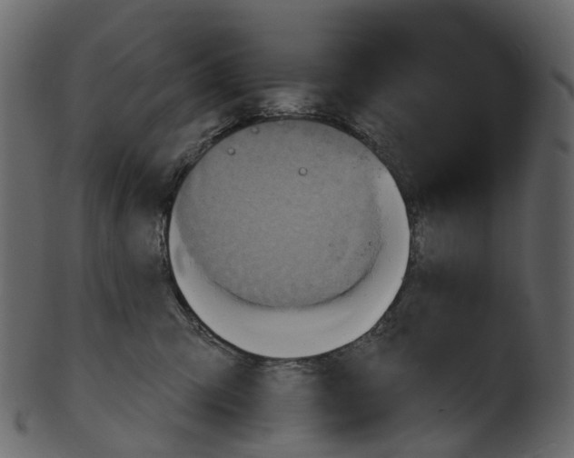 X0000100470423200807031832