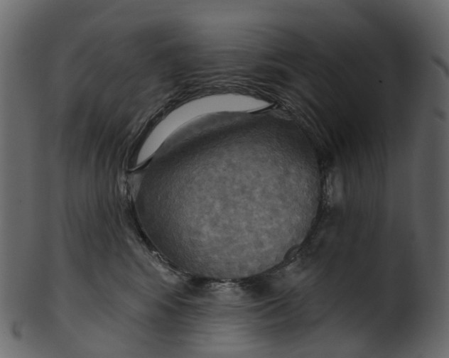 X0000100470424200807031832