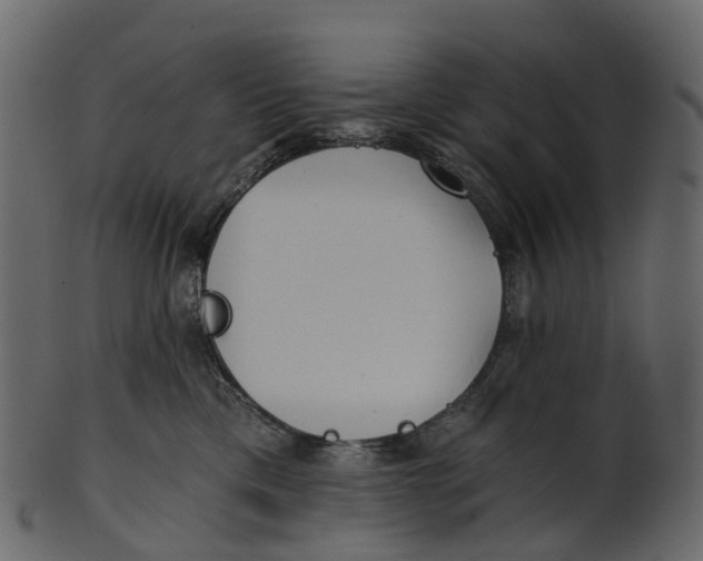 X0000100470425200807031832