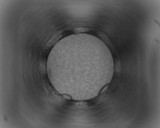 X0000100470426200807031832