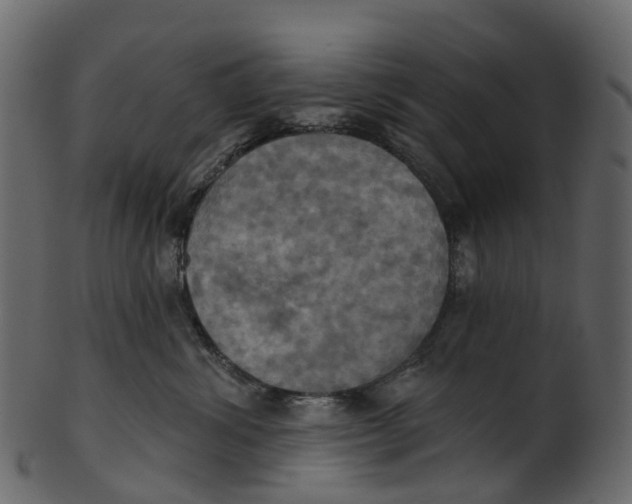 X0000100470428200807031832