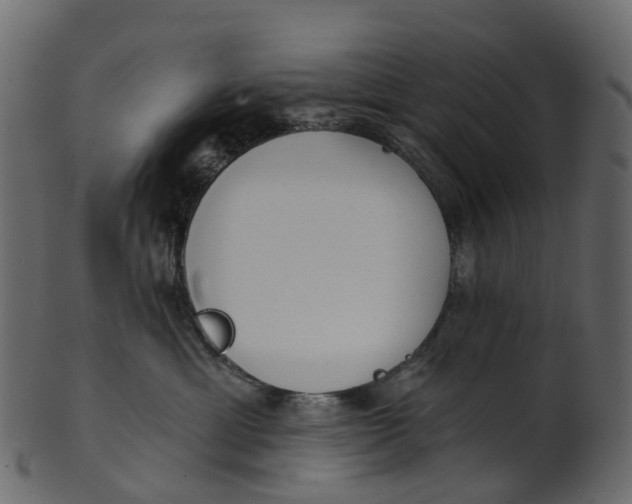 X0000100470429200807031832