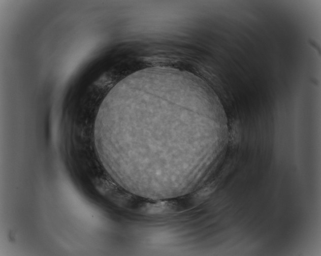 X0000100470430200807031832