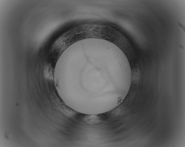 X0000100470431200807031832