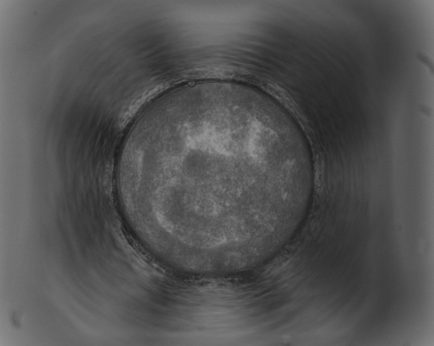 X0000100470434200807031831